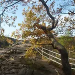 Hotel Akzent Rosstrappe Thale